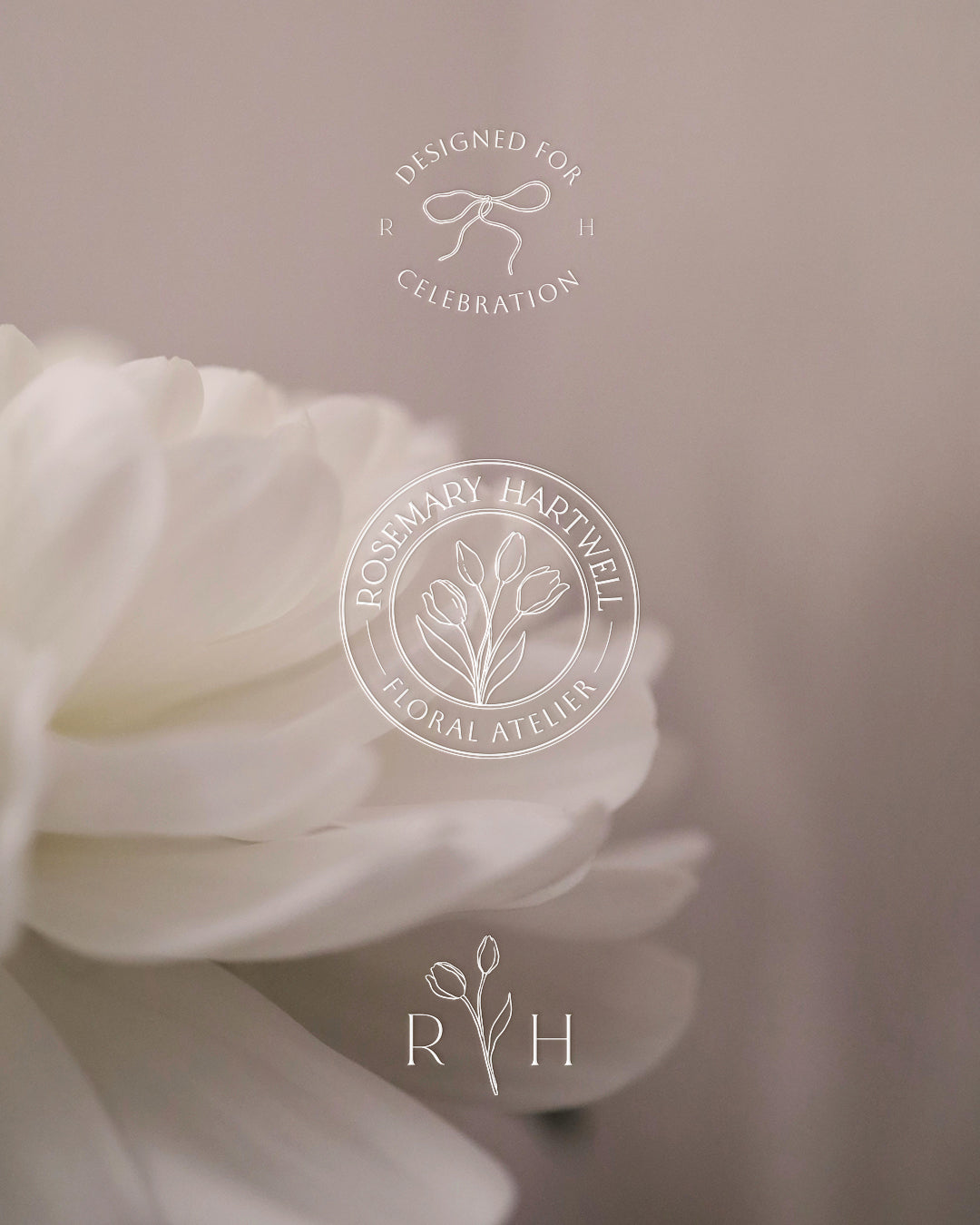 Dainty Decorative Graphic Collection