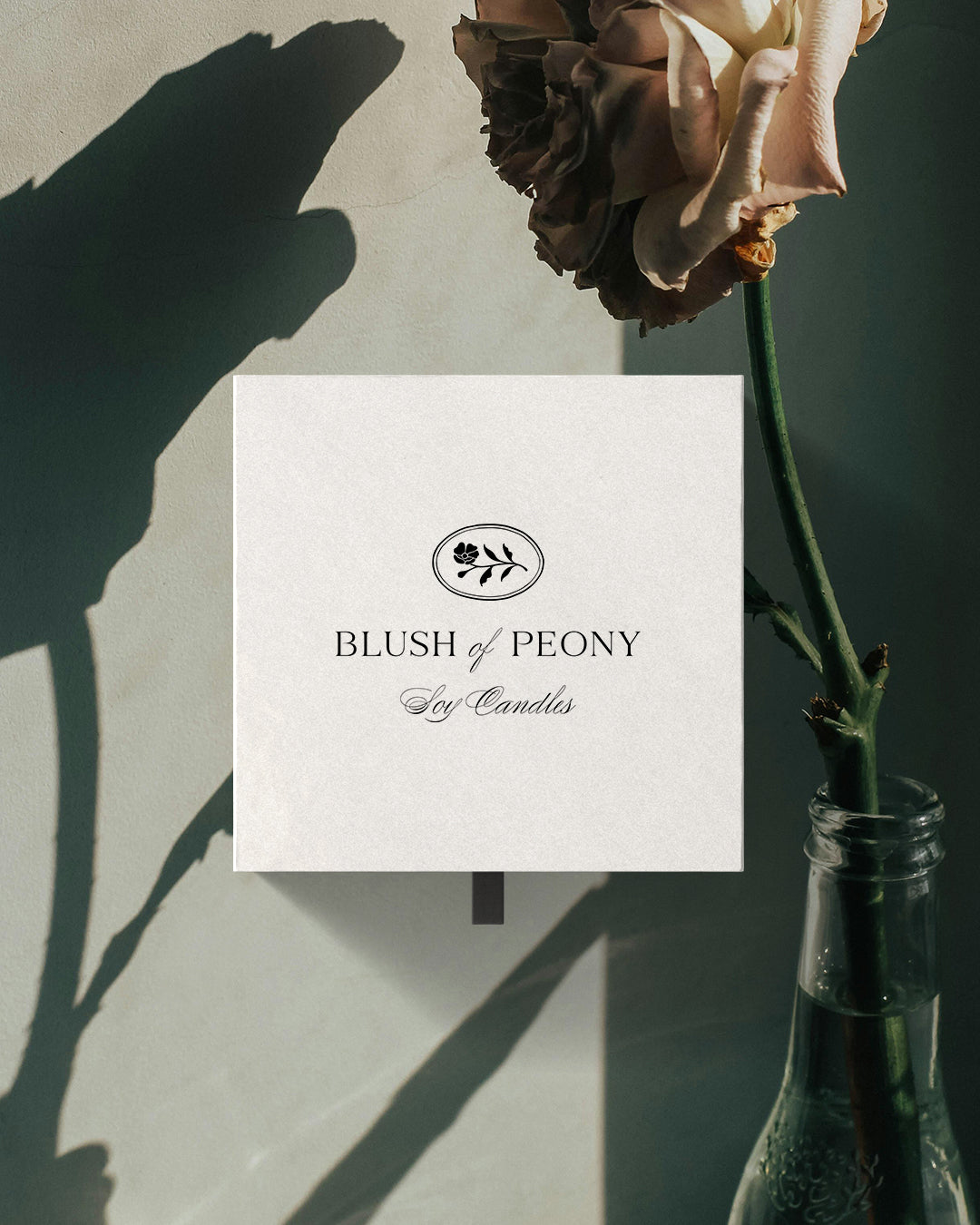Florish Decorative Graphic Collection