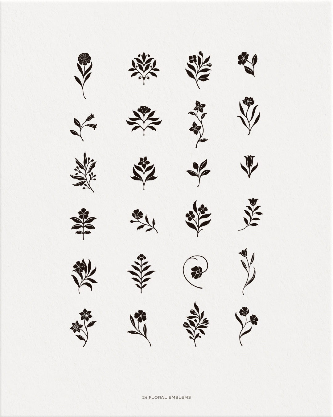 Florish Decorative Graphic Collection