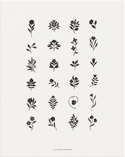 Florish Decorative Graphic Collection