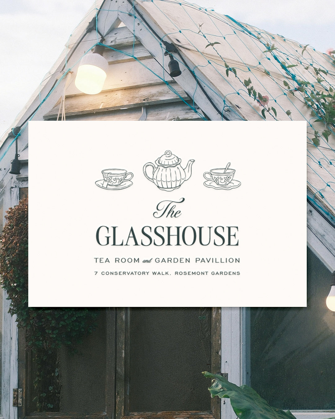 Dainty Decorative Graphic Collection