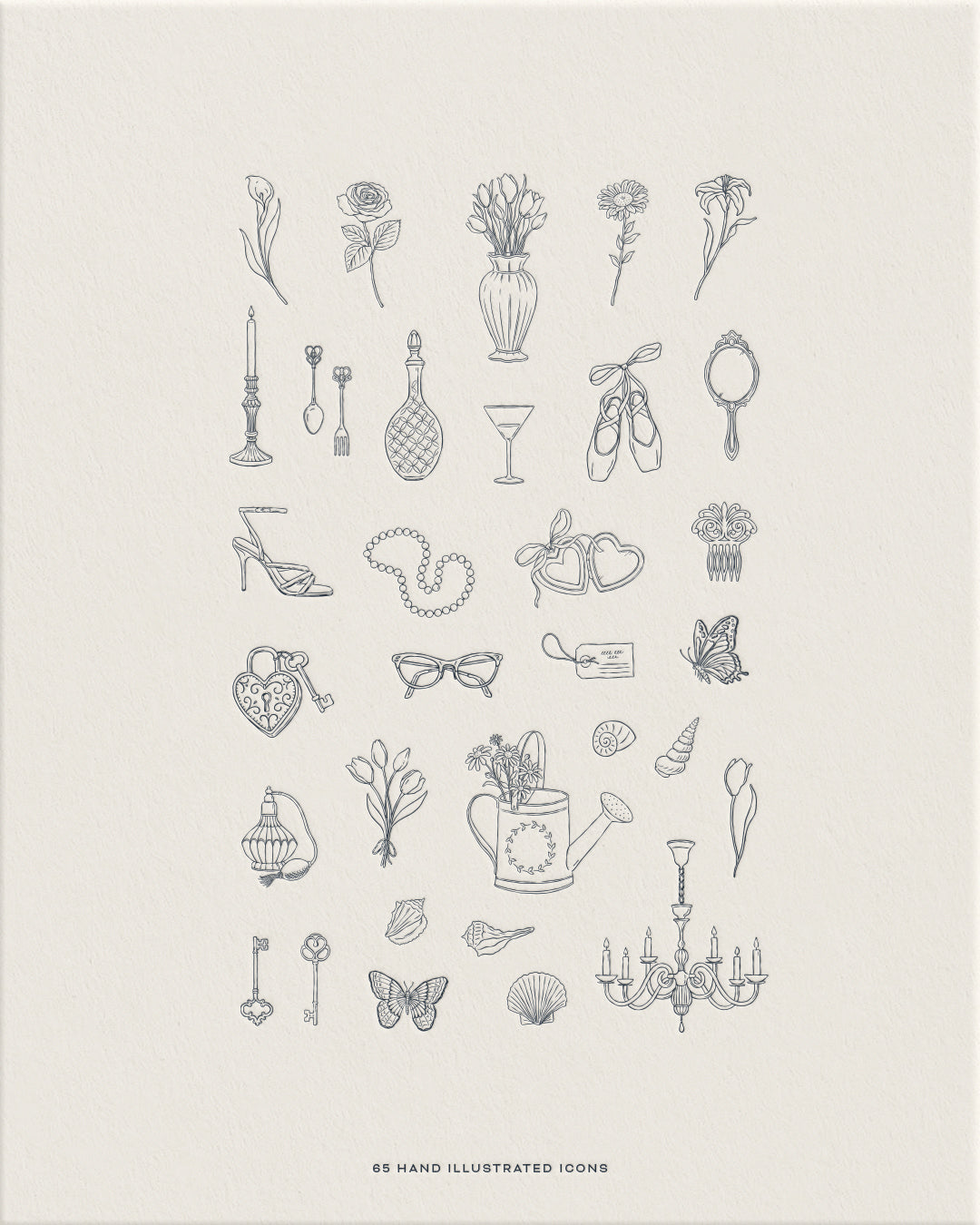 Dainty Decorative Graphic Collection