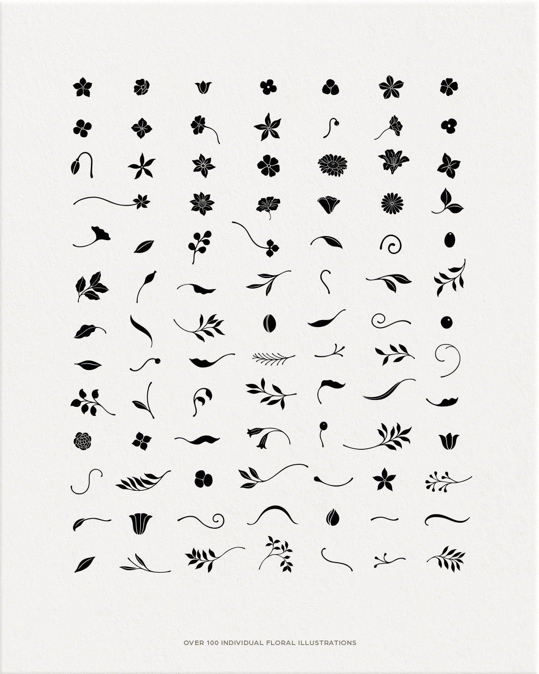 Florish Decorative Graphic Collection