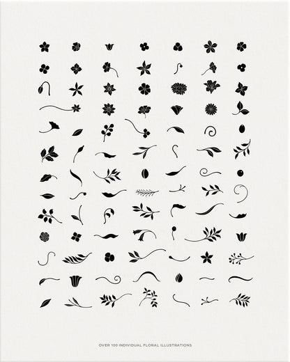 Florish Decorative Graphic Collection