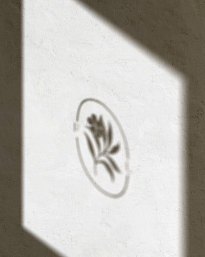 Florish Decorative Graphic Collection